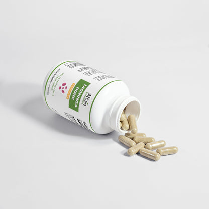 Moringa Pure - Attain Supplements