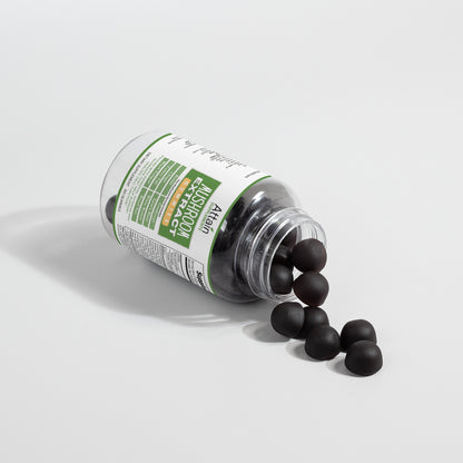 Vegan Mushroom Extract Gummies - A Blend of 10 powerful Mushrooms